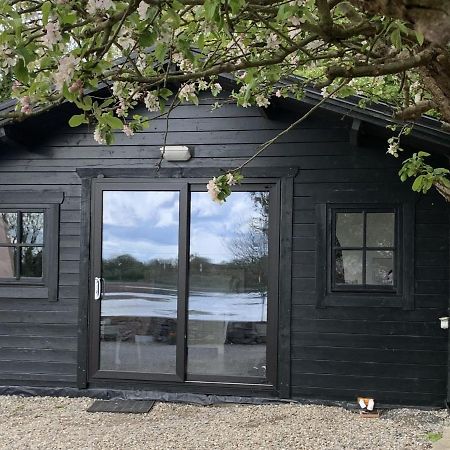 The Cosy Cabin By The Shore Galway Extérieur photo