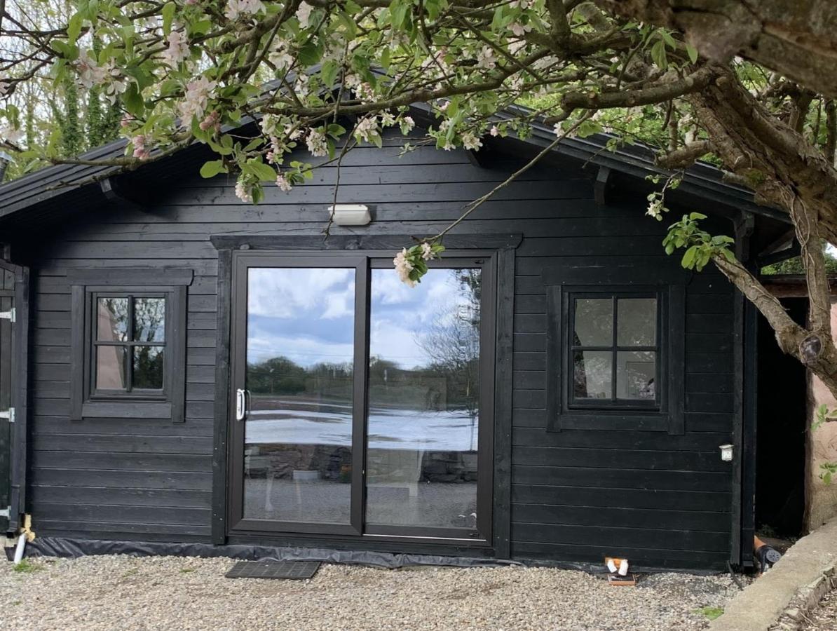 The Cosy Cabin By The Shore Galway Extérieur photo